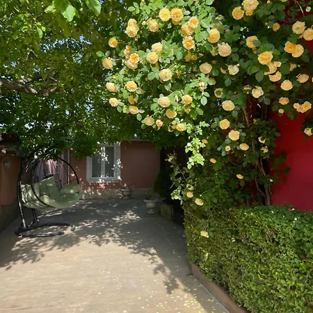 Red House Family 拉夫达