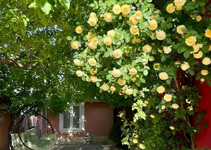 招待所 Red House Family