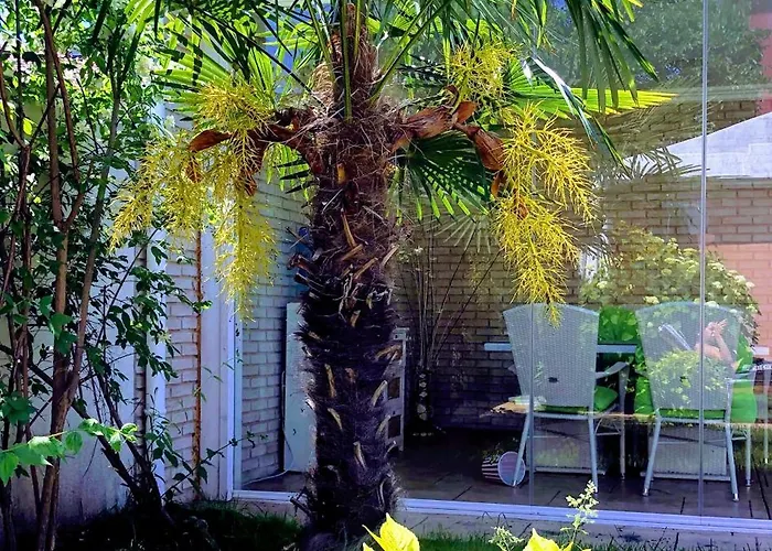 Guest house Red House Family *