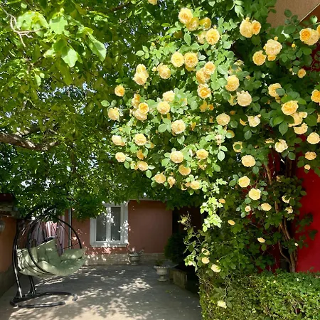 Guest house Red House Family