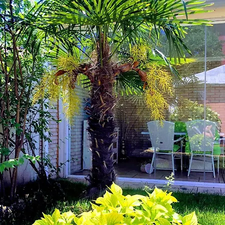 Pensjonat Red House Family *