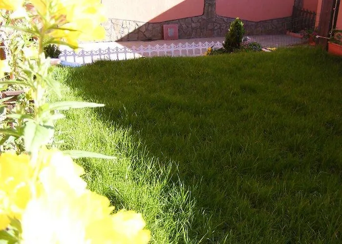 Pensión Red House Family *